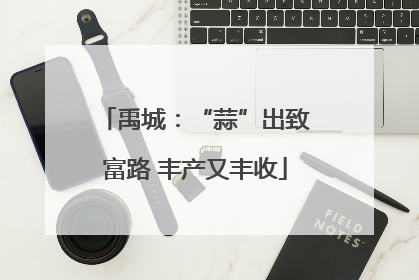 禹城：“蒜”出致富路 丰产又丰收