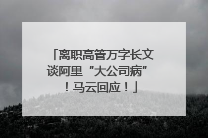离职高管万字长文谈阿里“大公司病”！马云回应！