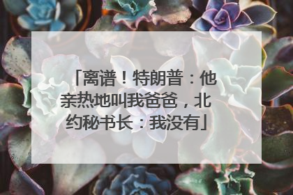 离谱！特朗普：他亲热地叫我爸爸，北约秘书长：我没有