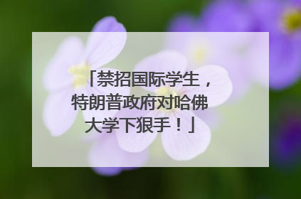 禁招国际学生，特朗普政府对哈佛大学下狠手！
