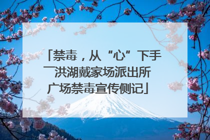 禁毒，从“心”下手――洪湖戴家场派出所广场禁毒宣传侧记