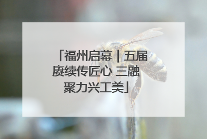 福州启幕｜五届赓续传匠心 三融聚力兴工美