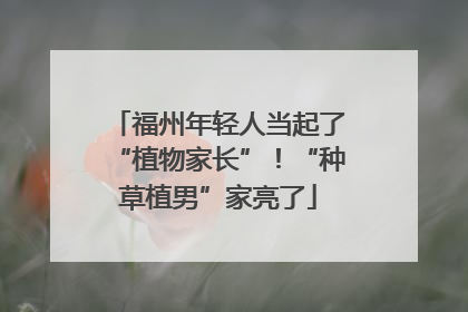福州年轻人当起了“植物家长”！“种草植男”家亮了