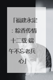 福建永定：粽香传情十二载 端午不忘老兵心