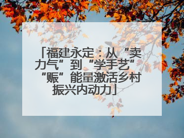 福建永定：从“卖力气”到“学手艺”“赈”能量激活乡村振兴内动力