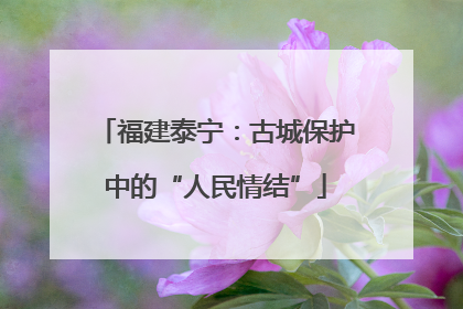 福建泰宁：古城保护中的“人民情结”