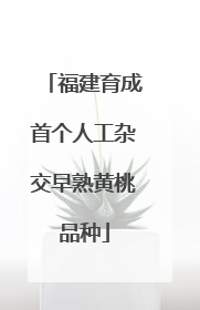 福建育成首个人工杂交早熟黄桃品种