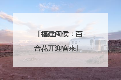 福建闽侯：百合花开迎客来
