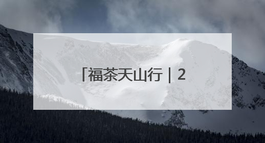 福茶天山行｜2025年“福茶天山行”系列活动在昌吉州启动