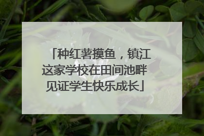 种红薯摸鱼，镇江这家学校在田间池畔见证学生快乐成长