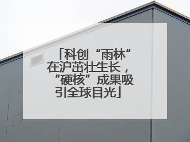 科创“雨林”在沪茁壮生长，“硬核”成果吸引全球目光