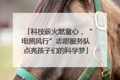 科技薪火燃童心，“电照风行”志愿服务队点亮孩子们的科学梦