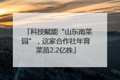 科技赋能“山东南菜园”，这家合作社年育菜苗2.2亿株