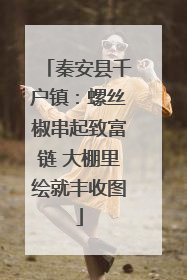 秦安县千户镇：螺丝椒串起致富链 大棚里绘就丰收图