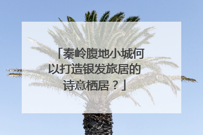 秦岭腹地小城何以打造银发旅居的诗意栖居？