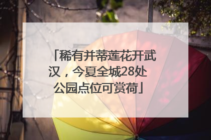 稀有并蒂莲花开武汉，今夏全城28处公园点位可赏荷