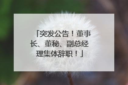 突发公告！董事长、董秘、副总经理集体辞职！