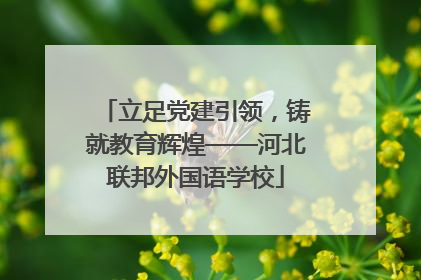 立足党建引领，铸就教育辉煌——河北联邦外国语学校