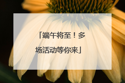 端午将至！多场活动等你来