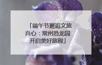 端午节邂逅文旅真心：常州恐龙园开启美好旅程