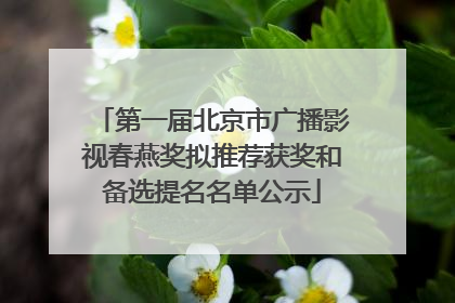 第一届北京市广播影视春燕奖拟推荐获奖和备选提名名单公示