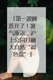 第一波睡莲开了！暑气渐浓，沪上公园打翻大自然“调色盘”