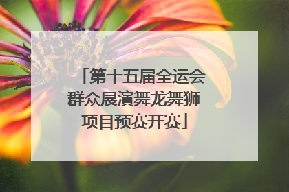 第十五届全运会群众展演舞龙舞狮项目预赛开赛