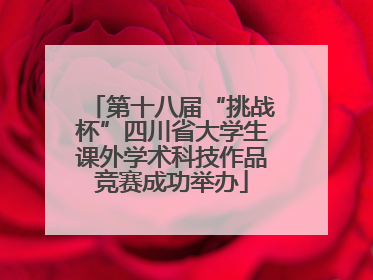 第十八届“挑战杯”四川省大学生课外学术科技作品竞赛成功举办