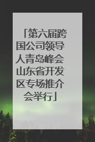 第六届跨国公司领导人青岛峰会山东省开发区专场推介会举行