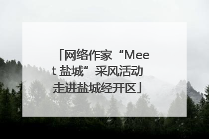 网络作家“Meet 盐城”采风活动走进盐城经开区