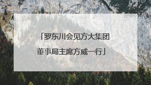 罗东川会见方大集团董事局主席方威一行