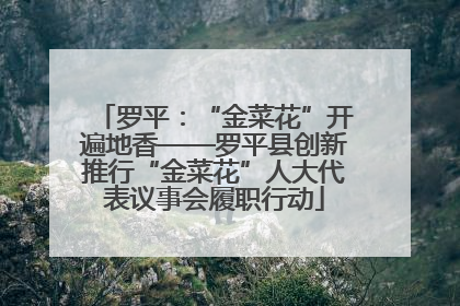 罗平：“金菜花”开遍地香——罗平县创新推行“金菜花”人大代表议事会履职行动