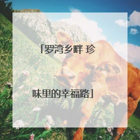 罗湾乡畔 珍味里的幸福路
