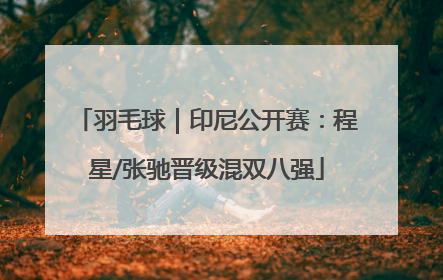 羽毛球｜印尼公开赛：程星/张驰晋级混双八强