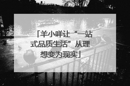 羊小咩让“一站式品质生活”从理想变为现实