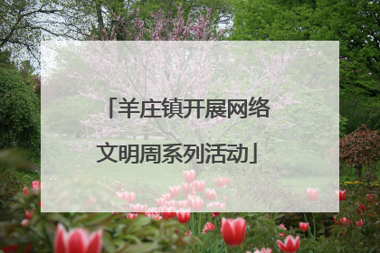 羊庄镇开展网络文明周系列活动