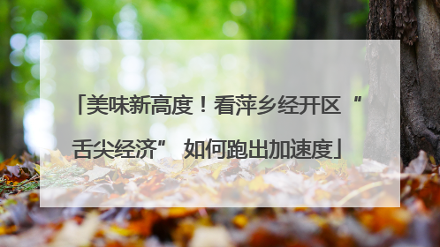 美味新高度！看萍乡经开区“舌尖经济” 如何跑出加速度
