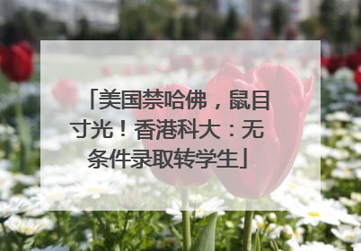 美国禁哈佛，鼠目寸光！香港科大：无条件录取转学生