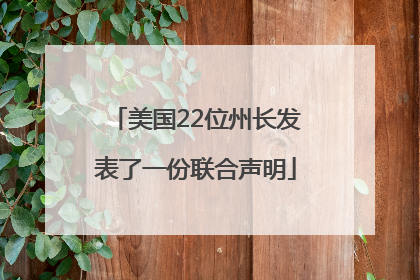 美国22位州长发表了一份联合声明