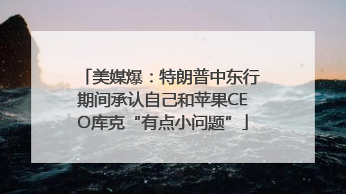 美媒爆：特朗普中东行期间承认自己和苹果CEO库克“有点小问题”