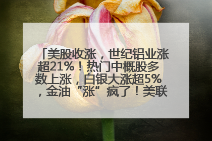 美股收涨，世纪铝业涨超21%！热门中概股多数上涨，白银大涨超5%，金油“涨”疯了！美联储官员最新表态