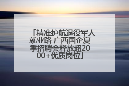 精准护航退役军人就业路 广西国企夏季招聘会释放超2000+优质岗位
