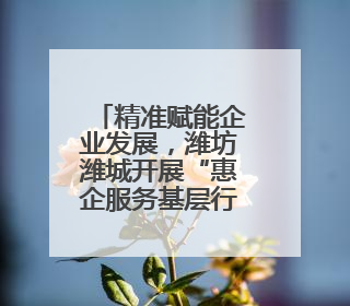 精准赋能企业发展，潍坊潍城开展“惠企服务基层行”活动