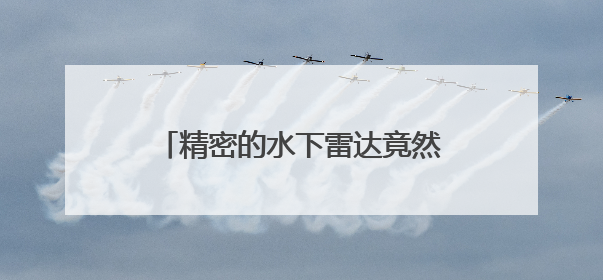 精密的水下雷达竟然就长在海豹脸上，科学家直呼“真香”！
