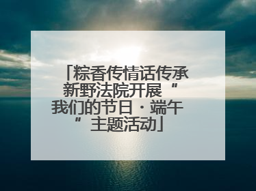 粽香传情话传承 新野法院开展“我们的节日・端午”主题活动