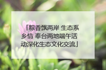 粽香飘两岸 生态系乡情 奉台两地端午活动深化生态文化交流