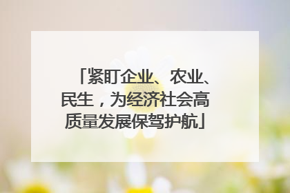 紧盯企业、农业、民生，为经济社会高质量发展保驾护航