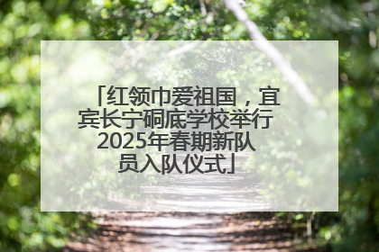 红领巾爱祖国，宜宾长宁硐底学校举行2025年春期新队员入队仪式
