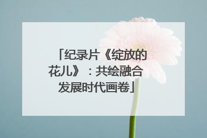 纪录片《绽放的花儿》：共绘融合发展时代画卷
