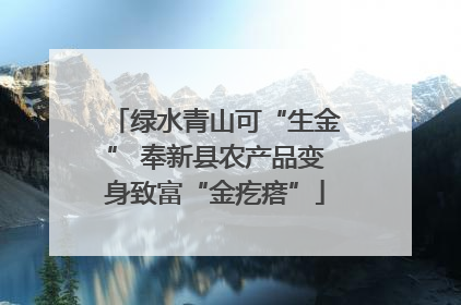 绿水青山可“生金” 奉新县农产品变身致富“金疙瘩”
